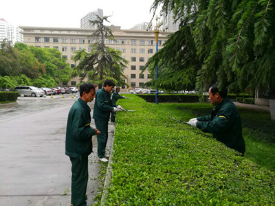 滴滴汗水 新新气象--4_副本 滴滴汗水 新新气象--4_副本
