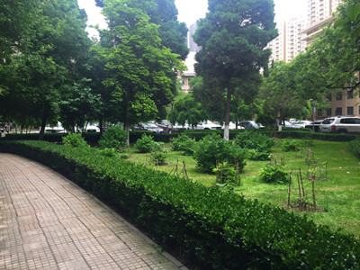 滴滴汗水 新新气象--1_副本 滴滴汗水 新新气象--1_副本