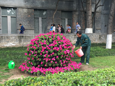 滴滴汗水 新新气象--2_副本 滴滴汗水 新新气象--2_副本