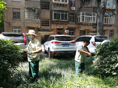 指尖上的海桐球1_副本